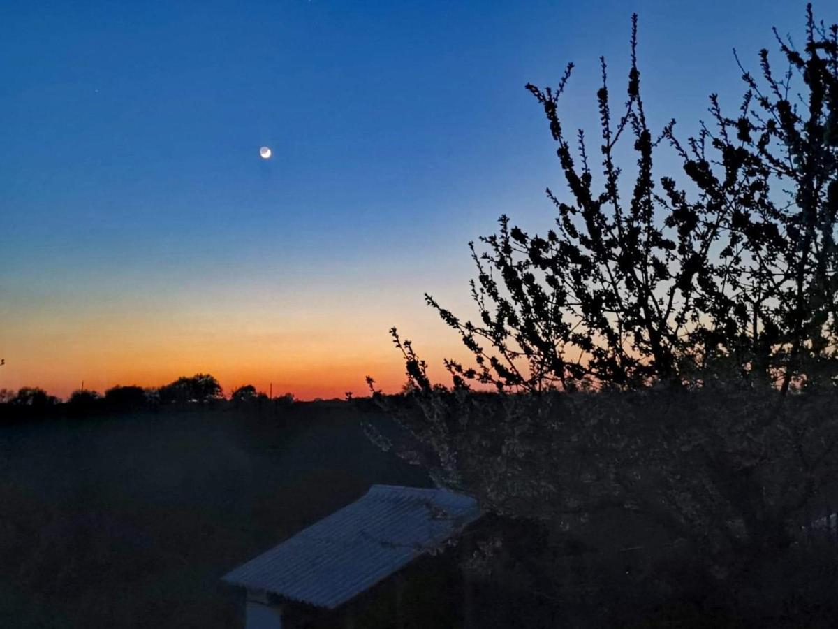 Gite Mimosa Saint-Florent-des-Bois Εξωτερικό φωτογραφία